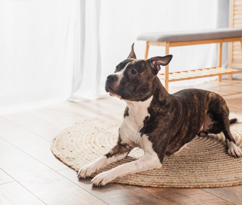 Best time of year to install hardwood floors